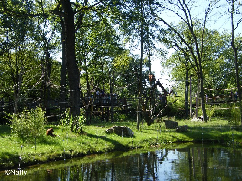 08 - ZOOM Erlebniswelt - Bereich Afrika.jpg